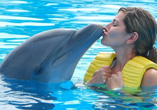 Tourist with dolphin in Cancun