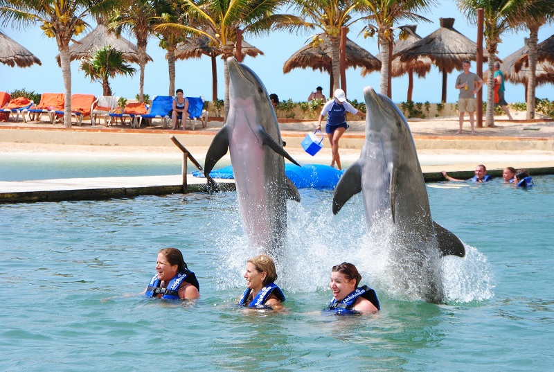 Swim with dolphins in Cancun