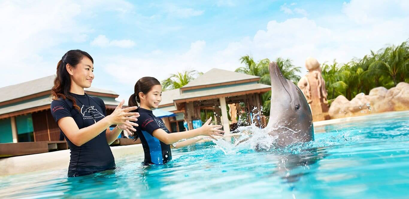 Dolphin Interactive Program at Dolphinaris Park in Cancun