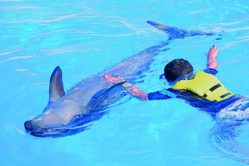 Child at Dolphinaris Park in Cancun