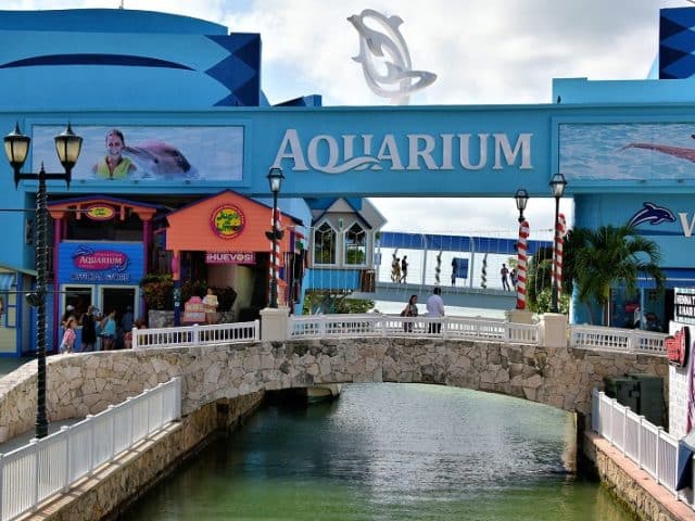 Interactive Aquarium in Cancun