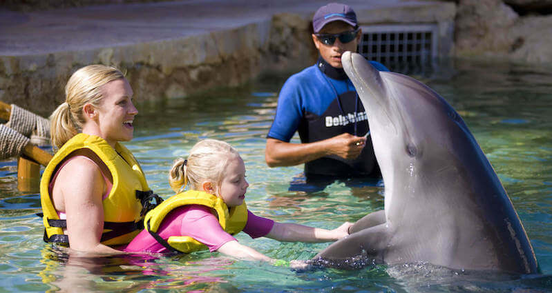 Dolphin Swim & Ride at Dolphinaris Park in Cancun