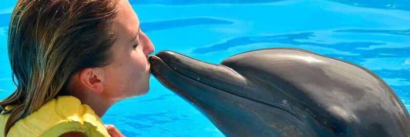 Trainer For a Day at Dolphinaris Park in Cancun
