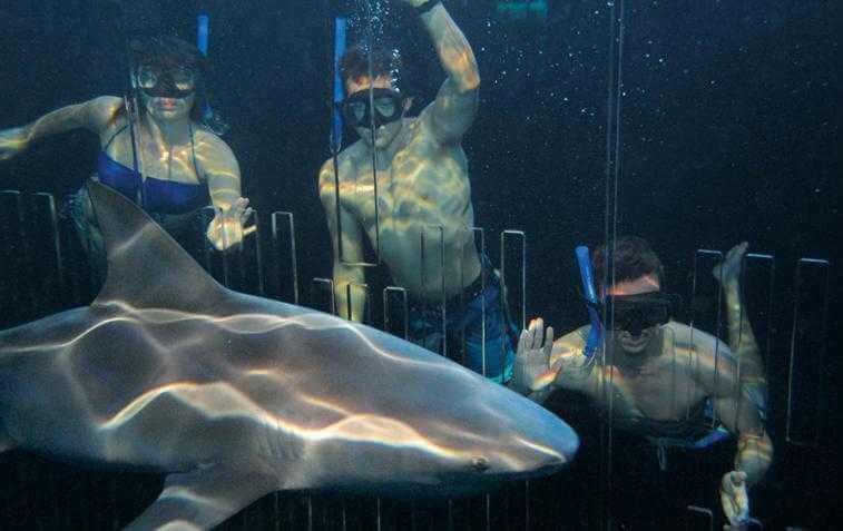 Animals at the Interactive Aquarium Cancun