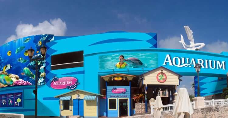 Area of the Interactive Aquarium Cancun