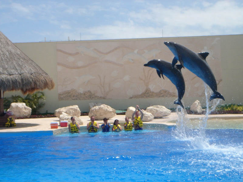 Dolphinaris attraction at Ventura Park in Cancun