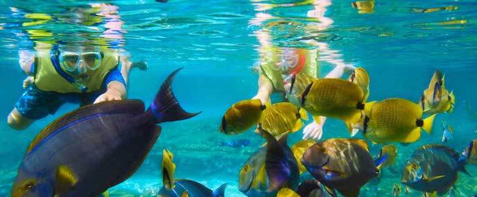 Scuba diving at Chankanaab Beach Adventure Park in Cancun