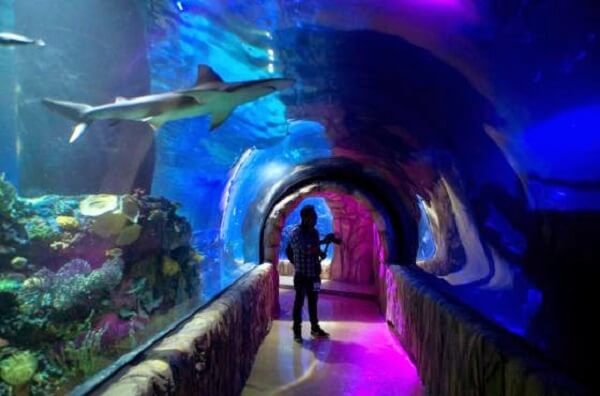 Inside the Inbursa Aquarium in Mexico City