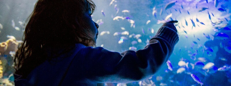 Child at the Inbursa Aquarium in Mexico City