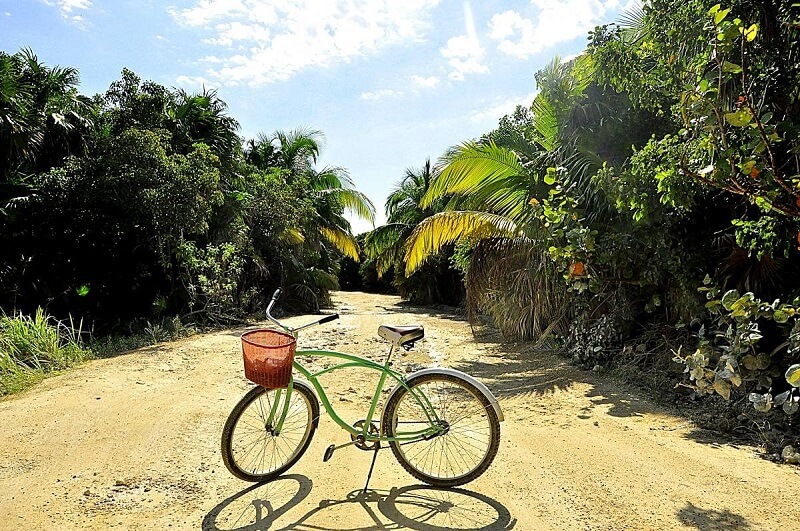Bike ride in Tulum