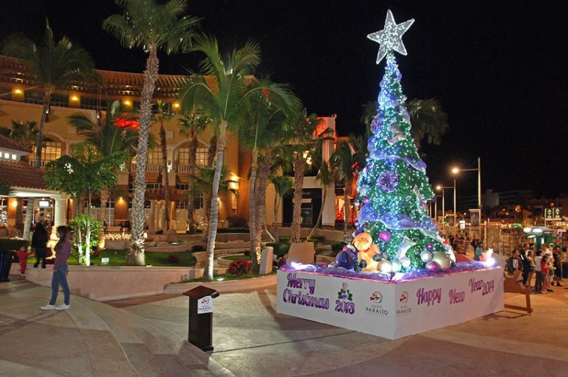 Christmas in Los Cabos
