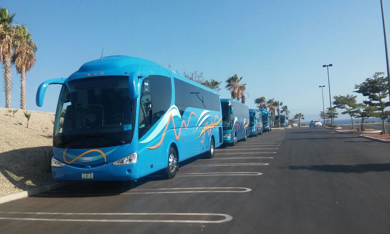 Bus in Los Cabos