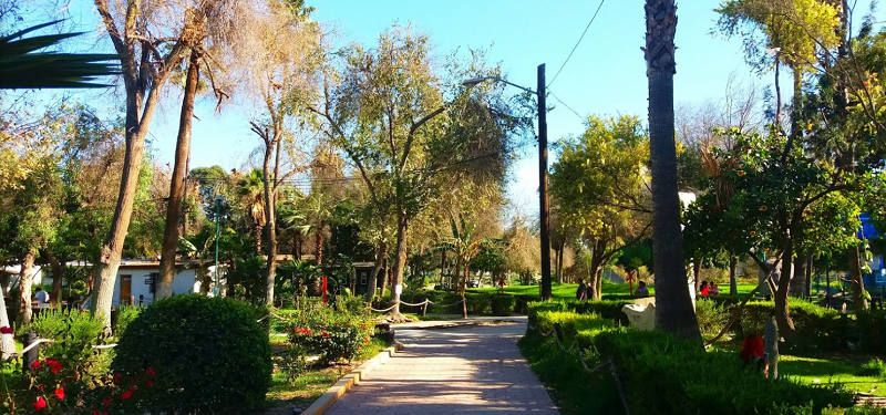 Nature at Morelos Park in Tijuana