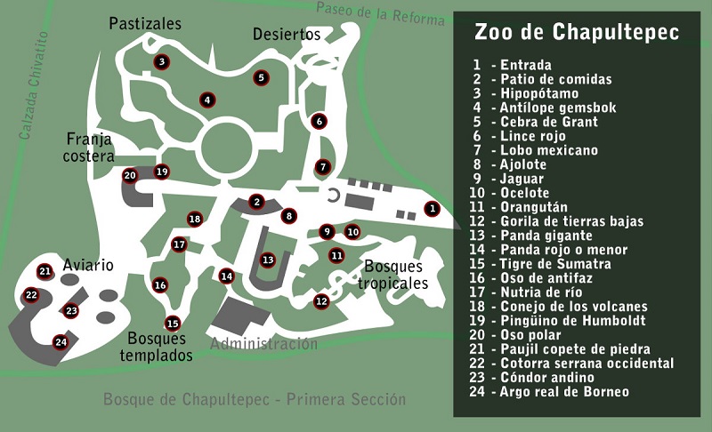 Map of the Chapultepec Zoo in Mexico City