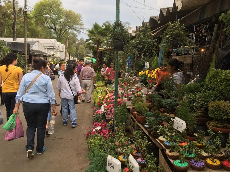 Market in Xochimilco in Mexico City