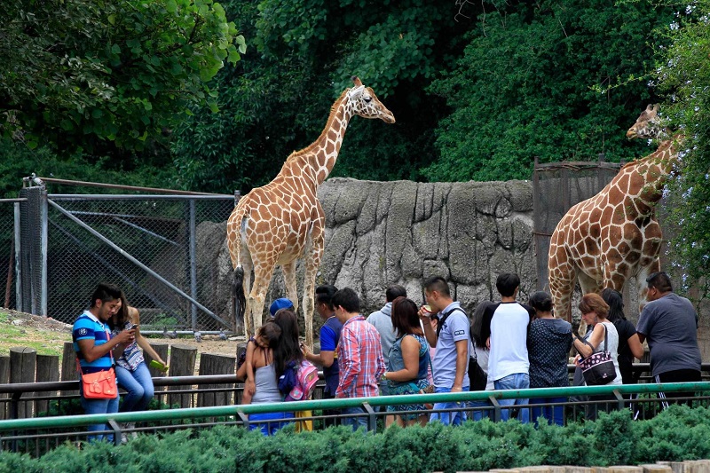 Chapultepec Zoo in Mexico City