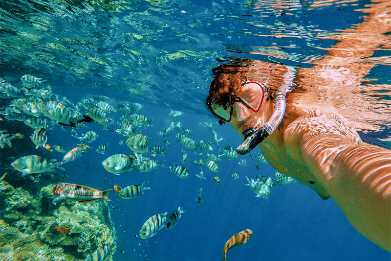 Diving in Los Cabos