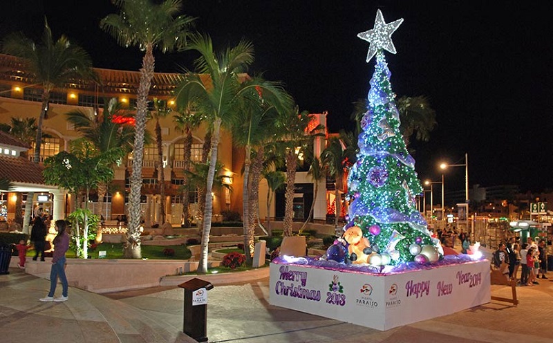 Christmas in Cabo San Lucas in Los Cabos